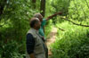 Ruislip Common, Prof.David Hawksworth